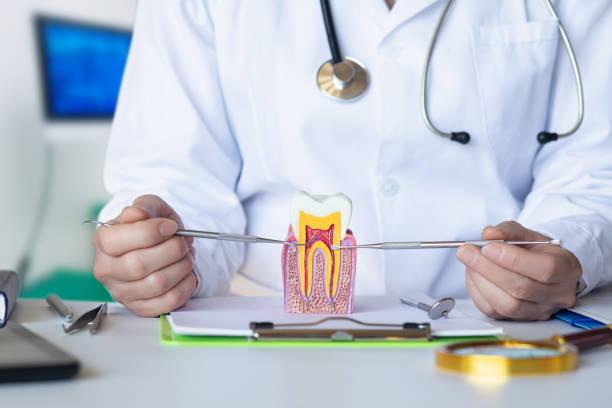 Best Emergency Gum Treatment in Reform, AL